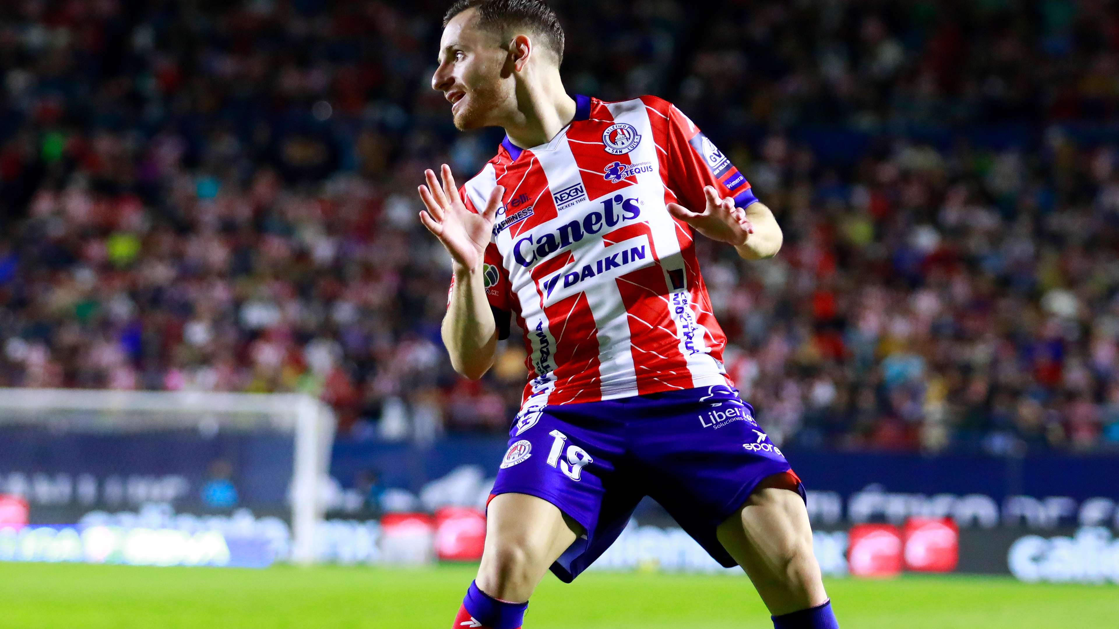 我们期待在 我们期待在